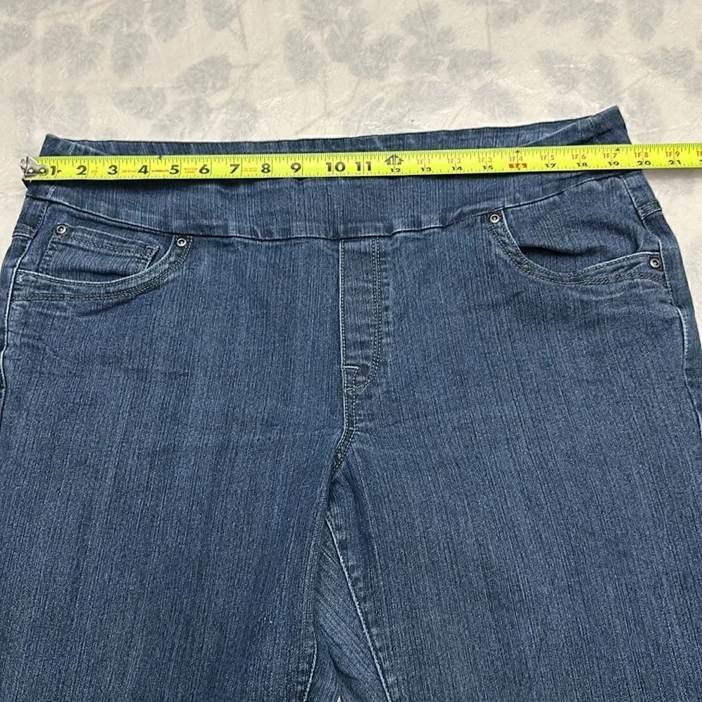Blueberry women’s denim jeans with elastic waist size 16W